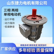 Spot Goods Aluminum Shell Electric Motor Single Phase Biphasic Three-Phase Asynchronous Motor 3Horse