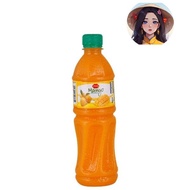 Pran Mango Fruit Drink 1L