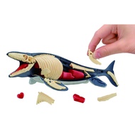 Direct From Japan Dismantling Puzzle Science Mosasaurus Restoration Puzzle
