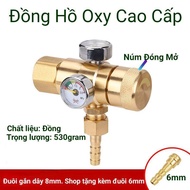 Van giảm áp Nito_Đồng hồ khí Nito
