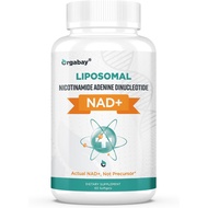 Orgabay Liposomal NAD+ Supplement 500mg High Absorption, Boost NAD+ with TMG 250mg Actual NAD Plus M
