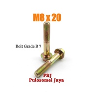 Flange Bolts M8 x 20 / Yellow Flange Bolts M8 x 20 / Grade B 7