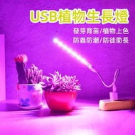 A1 - USB植物生長燈連 補光燈 多肉植物防徒助長生長燈 防蟲防潮 (連USB電源管)