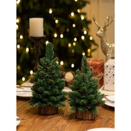 Christmas centerpiece christmas lights New Nordic Style Mini Real Nobesson Dining Table Christmas Tr