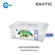 Marukan - Marukan 甲蟲/昆蟲透明塑膠飼養箱 SizeXL (W445XD270XH185mm)