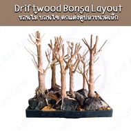 Driftwood bonsa Layout ขอนไม้บอนไซ สำหรับตั้งตู้ไม้น้ำ ตกแต่งตู้ ขอนไม้ Bonsai ตู้ไม้น้ำ ตู้ปลา พรรณ