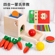 4-in-1 Montessori Play Kit Toys Wooden Sorting Stacking Toy, Harvest Carrot Toy, Montessori Coin Box