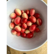 BUAH ASAM RENDA/CARANDAS/KERENDA *Ready stock* 100g