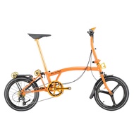 Foldable Bicycle (Tri-Fold) ROYALE Carbon EX S10 16in 9spd - Mist Brown