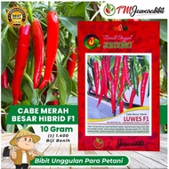 BIBIT CABE MERAH BESAR HIBRID LUWES F1 ISI 10 GRAM || PRODUK ASLI