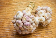 กระเทียมไทยกลีบม่วง ศรีสะเกษ 500 กรัม ครึ่งกิโลกรัม คัดพิเศษThai Garlic : 500 g
