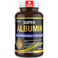Herba Albumin Protein Supplement – 240 Vegetable Capsules | Albumin Capsules with 16 Ingredients Inc