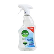 [231018] Dettol 滴露 多功能家居消毒清潔噴霧 750毫升 (一套兩枝)
