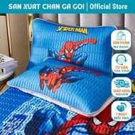 Air conditioner pillow includes rubber pillowcase and pillow insert size 30x50 spiderman model-sanxu