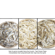 Ocean Papa Ikan Bilis Kopek (500G/1KG) Halal