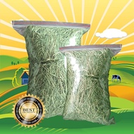 Timothy 1kg - TIMOTHY HAY TIMOTHY Grass Rabbit Food Rabbit Snack Rabbit Snack Import TIMOTHY HAY WOH