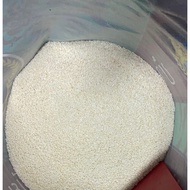 beras pulut susu timbang (1kg)