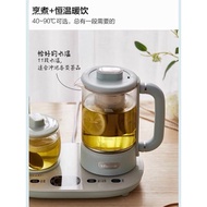 Bear healthy Tea Pot 小熊养生壶