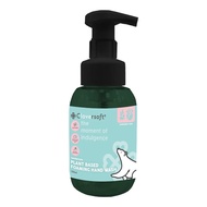 Cloversoft Plant-Based 99.99% Antibacterial Foaming Hand Wash Patchouli & Rose 300ml ( EXP : 30.06.2