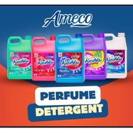Ameco detergent kasihku