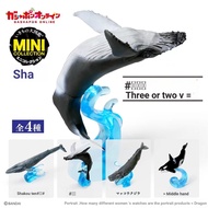 [House House] Bandai Creatures Big Illustrated Book Whale Capsule Toys Marine Creatures Blue Whale K