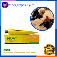 Muay Obat Ayam Muay Salep Turun Urat Muay Salep Ayam Salep Turun Urat Ayam Obat Untuk Selah Kaki Aya