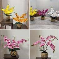 Phalaenopsis 3D Orchid Simulation Phalaenopsis Living Room Decoration Home Set Decoration Flower Fee