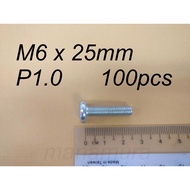 Pan Head Machine Screw M6 x 25mm Pitch P1.0 (100pcs) Screw M6 x 25