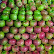buah apel malang1kg|nuri fruits|buah apel|buah segar bandung
