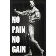 More Style Arnold Schwarzenegger Bodybuilding Inspirational Quote Art Film Print Silk Poster