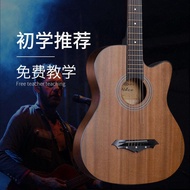 Gibson Gibson 127cm Guitar Beginner Acoustic Acoustic Guitar Adult Introductory Practice Musical Ins