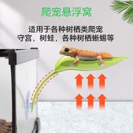 Tree Frog Reptile Pet Suspended Nest Gecko Lizard Gecko Spider Reptile Landscaping Ecological Rainfo