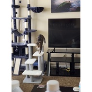 Pet Bed Sofa Ladder Free Combination Dog Climbing Ladder Home Elderly Dog Ramp Pet Ladder Dog Sofa L