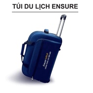 Ensure Gold travel zipper bag
