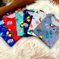 Safari BB II (Restock Oct 23,2024) - Terno T-shirt and Pajamas for Kids