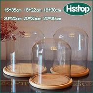 big Glass dome, Glass DOME DISPLAY CLOCHE BELL JAR display box DIY dustproof glass dome