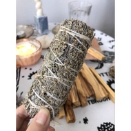 [Shengci Tang] North California Blue Sage Pure Fresh Elegant