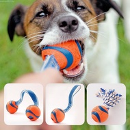 Petmate Chuckit Ultra Squeaker Ball for Dogs Durable Bouncy