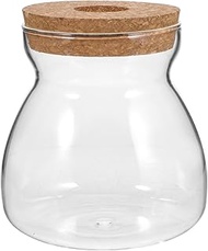 Cabilock Micro Landscape Ecological Bottle Plant Terrarium Glass Terrarium Micro Landscape Terrarium