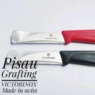 Alat Bonsai Berkebun, Pisau Grafting Okulasi, Pisau Victorinox Swiss, Pisau Ukir Buah