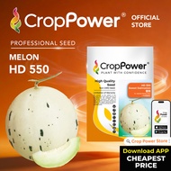 (100 SEEDS) Biji Benih Tembikai Susu Sweet Dalmation 蜜斑 HD550 CROP POWER Honey dew seeds 蜜瓜种子 HD 550