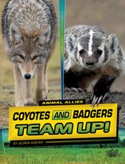 Coyotes and Badgers Team Up! Gloria Koster