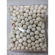 Kacang Atom/kacang sukro/kacang sukro kiloan/Others/camilan sehat/camilan/cemilan