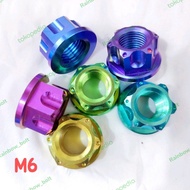 Selling Original Titanium Quality M6 Thread 10 Titanium Nuts