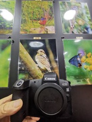 Canon EOS R 不是 R7 R8 R10 R50