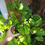 Mortar & cutting board rack