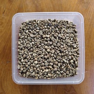 kopi robusta 1 kg biji kering green been mentah