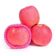 China Premium Fuji Apples 3pcs (XXL size)