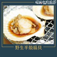 【北海漁鋪】野生半殼扇貝 (5-6顆/500g±10%/包)*4包