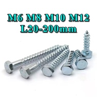 Galvanized hexagonal self-tapping DIN571 Galvanized wood screw Self-tapping screw Extended hexagonal